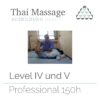 Thai Massage professional 150h
