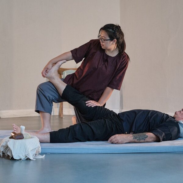 Therapeutische Thai Massage Level III – Bild 3